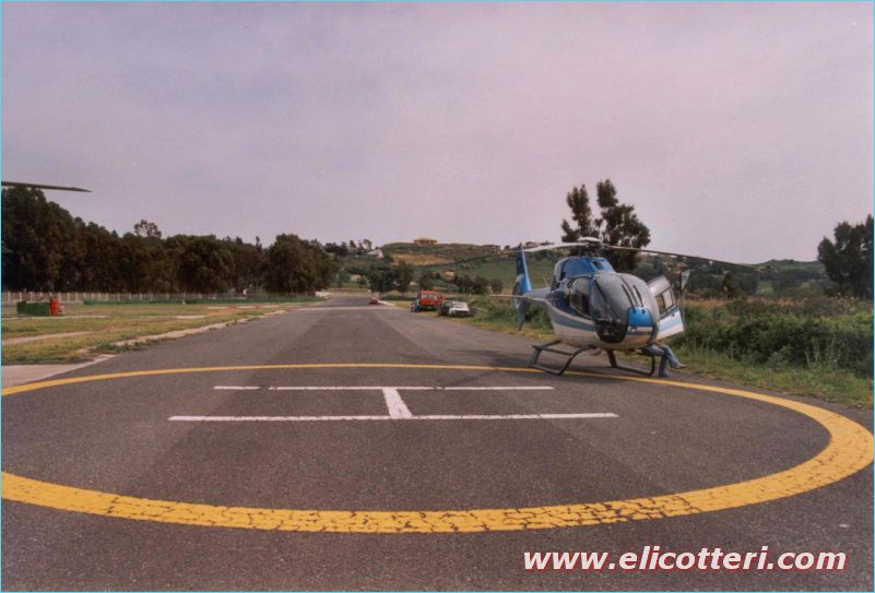 elifoto (31)